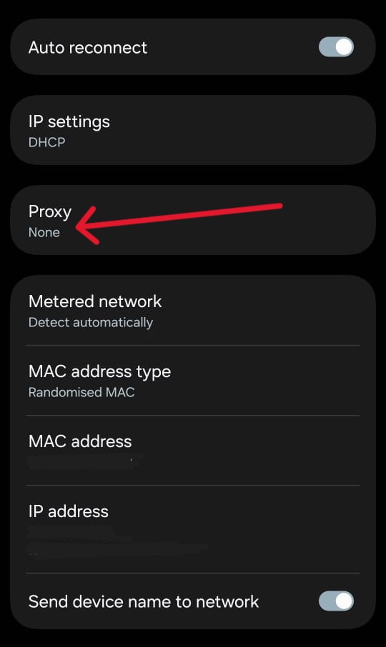 Manual Proxy Setup Process